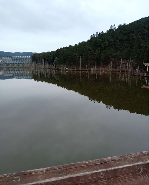 湖南力民电梯有限公司,邵阳电梯销售,邵阳电梯安装,湖南电梯维修,自动扶梯,自动人行梯 湖南力民电梯有限公司,邵阳电梯销售,邵阳电梯安装,湖南电梯维修,自动扶梯,自动人行梯